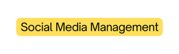 Social Media Management